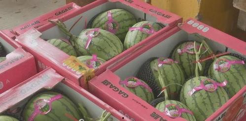 福利姬网红吃瓜,揭秘娱乐圈幕后真相 第2张 福利姬网红吃瓜,揭秘娱乐圈幕后真相 第2张